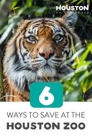 Houston Zoo Coupons And Discount Tickets 8 Ways To Save Big With Images Houston Zoo Zoo Coupons Zoo