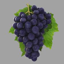 Grape Fruit 3d Model Grapes Fruit Veggie Art