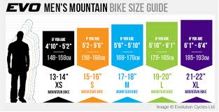 specialized mountain bike size chart specialized sirrus