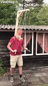 Beer Balance Gif By Viralhog Beer Humor Giphy Funny