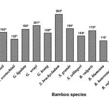Various authors have addressed the management issues over 20 bamboo species from asia were introduced into the country, including: Pdf Anatomical Physical And Mechanical Properties Of Thirteen Malaysian Bamboo Species