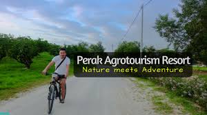 In addition to the mocat/mot and tourism malaysia, federal government agencies related to rural development are also involved directly in. Perak Agrotourism Resort Nature Meets Adventure Escape Manila