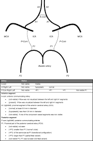 The circle of willis is a circular formation of blood vessels in the human brain. Incompleteness Of The Circle Of Willis Is Related To Eeg Based Shunting During Carotid Endarterectomy European Journal Of Vascular And Endovascular Surgery