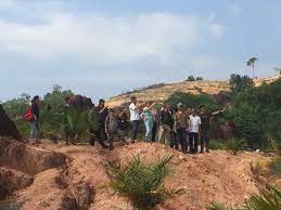 Anda boleh menanam pokok pudina di halaman untuk menghalau nyamuk atau buat pati minyak pokok selasih juga merupakan antara penghalau nyamuk semula jadi yang paling berkesan. Tanam Sendiri Pokok Pulih Semula Hutan