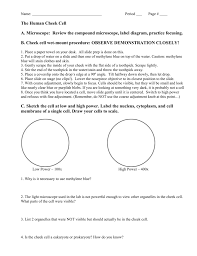 We did not find results for: Cheek Cell Pics