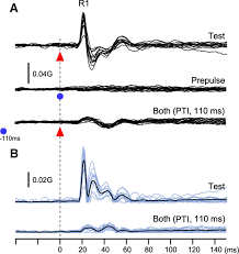 Image result for Eye Rest Green 1972 Hussmann