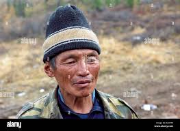 Fellow deer hi-res stock photography and images