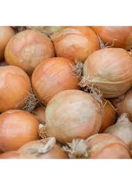 The sweet onions are low in sulfur and high in water, which gives them such a mild flavor they can be plant transplants right away, if possible. Yellow Sweet Spanish Onion Category