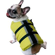 With tenor, maker of gif keyboard, add popular cachorro animated gifs to your conversations. Colete De Flutuacao Para Cachorro Ativa Pet Amarelo Regatta Mobile