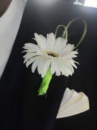 Pin By Hotref On Best Flower Ideas For May Wedding Daisy Wedding Flowers Prom Flowers Daisy Wedding