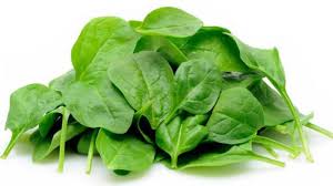 Sayur bayam merupakan pilihan terbaik untuk makanan rendah kalori dan lemak. Tahukah Anda Sayur Bening Bayam Bisa Jadi Racun Begini Penjelasannya Banjarmasin Post