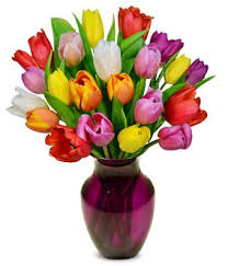 Includes phone numbers, delivery information and more. Rainbow Tulip Bouquet 15 Stems At From You Flowers Tulip Bouquet Flowers For You Flower Delivery