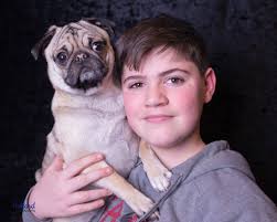 Woman with pug and boston terriers