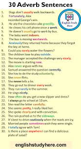 These adverbs can describe how often, how long or when something takes place. 30 Adverb Sentences Example Sentences With Adverbs In English English Study Here