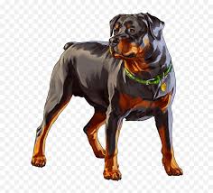 Gta vice city wallpapers 67 images from getwallpapers.com. Gta Png Gta San Andreas Dog Rottweiler Png Free Transparent Png Images Pngaaa Com