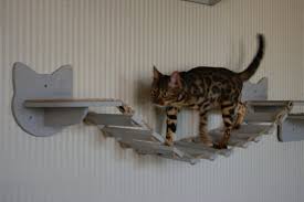Cat Shelves Bridge Cat Bridge Cat Wall Furniture Cat Shelves Wall Cat Furniture Wall Cat Shelf Wall Mount Wall Mounted Cat Shelves Climbing Kat Planken Kattenmuur Planken Kattenmuur