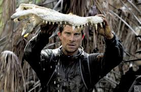 Bear grylls obe, has become known worldwide as one of the most recognized faces of survival trained from a young age in martial arts, grylls went on to spend three years as a soldier in the. Tales Of Adventure From Bear Grylls The New York Times