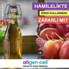 Hamilelikte Sirke Kullanmanin Faydalari 1 Bulantiya Iyi Gelir Bazen Bulantiyi Hafifletmek Icin Sabah Kahvaltisinda Yesilliklere Sirke Kahvalti Hamilelik
