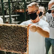 The goal is to get bees to start building honeycomb in the bait box. Bee Colony In Berlin