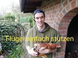 Schnell Und Einfach Flugel Stutzen How To Clip Wings In 2020