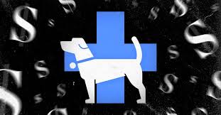 We did not find results for: My Dying Dog S Vet Bill Put Me In Debt It Could Happen To You Vox