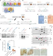 Maybe you would like to learn more about one of these? Defective Metabolic Programming Impairs Early Neuronal Morphogenesis In Neural Cultures And An Organoid Model Of Leigh Syndrome Nature Communications