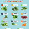 There are 609 fast growing flower seeds suppliers, mainly located in asia. 1