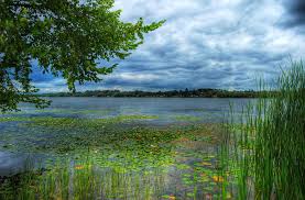 Lake Scugog Wikipedia