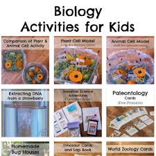 Your toddler's natural curiosity makes it easy to introduce science concepts during everyday activities. Biology Activities For Kids Researchparent Com