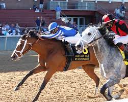 Free horse racing picks oaklawn. Papa Dude S Free Oaklawn Picks For Sunday 4 11 21 Thoroughbred Racing Dudes