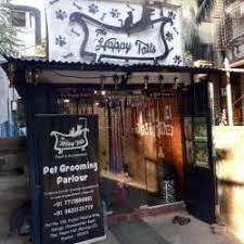 Calming music, air purification, automatic water bowls, an orthopedic bed and more are provided for each of our guests in their spacious indoor/outdoor runs. The Happy Tails Matunga East Dog Trainers In Mumbai Justdial