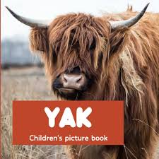 Image result for yak