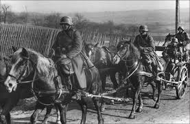 Germany invaded poland to regain lost territory and ultimately rule their neighbor to the east. Ss Units In Poland 1939 Part Ii Weapons And Warfare