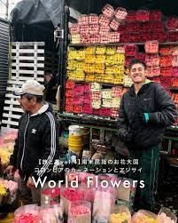 旅と花vol 4 南米屈指のお花大国 コロンビアのカーネーションとアジサイ コロンビア 南米 旅