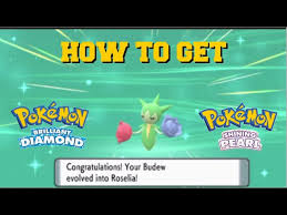 How To Evolve Budew & Roselia In Pokemon Brilliant Diamond And Shining  Pearl - Youtube