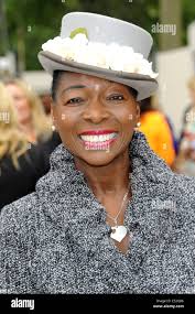 Benjamin flower hi-res stock photography and images