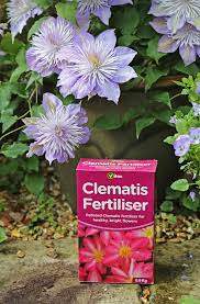 Check spelling or type a new query. Making The Most Of Clematis Garden World