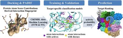 Sorry, your search did not match any result requests. The Development Of Target Specific Machine Learning Models As Scoring Functions For Docking Based Target Prediction Journal Of Chemical Information And Modeling X Mol