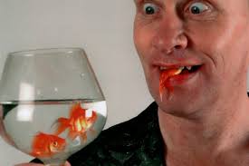 Amerikaan Stevie Starr drinkt ook visjes