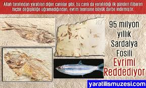 Yaratilis Atlasi Adnan Oktar Atlas Fosil Evrim Yaratilis Arafom Harun Yahya Http Adnanoktar Com Yaratilis Atlasi Fosiller Evrim Kitap