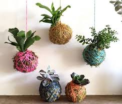 Questa pianta, all'interno del giardino giapponese deve trovarsi nei pressi della casa, ma deve avere sotto di se tutto lo spazio necessario a contenere la caduta sono moltissime le piante amate dai giapponesi e tipicamente utilizzate nel giardino tradizionale, citarle tutte sarebbe davvero eccessivo. Kokedama Cosa Sono E Come Si Realizzano Le Piante Pensili Giapponesi Ehabitat It