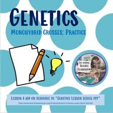 The handouts are application oriented and supplemental to the more important thing like creating in the classroom and hands on labs. Monohybrid Cross Problems Worksheets Teaching Resources Tpt