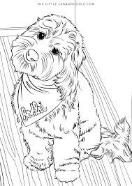 Doodle Lovers Coloring Book Brodie The Therapy Dog Dog Coloring Book Dog Sketch Coloring Books