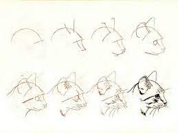 urok poetapnogo risovaniya karandashom dlya detej risunki koshek uroki risovaniya karandashom dlya nachinayushih ka cat drawing tutorial animal drawings cat sketch