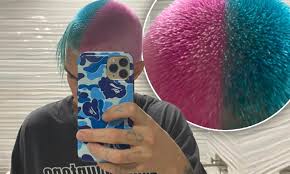 Try to provide as much information as possible about your hair's condition, styling/coloring history, your routine, and anything else that is pertinent to your. Bored In Lockdown Ruby Rose Debuts Bizarre New Pink And Blue Haircut After Shaving Her Head Daily Mail Online