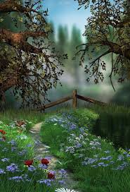 Dreamy Forest Fantasy Photo Background Photography Studio Backdrop Photo Backgrounds Fantasy Background Beautiful Landscapes Pngtree offers hd studio background images for free download. dreamy forest fantasy photo background