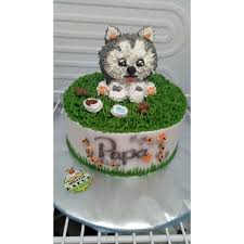 Lagu happy birthday to you mulai terkenal. Kue Tart Ulang Tahun Ultah Custom Karakter Hewan Binatang Animal Puppies Anjing Kucing Kota Malang Shopee Indonesia