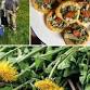 Spring Foraging & Sensory Quiz (Family Friendly) - The Globe Inn, Globe Ln Event Image