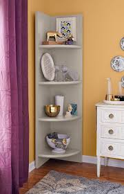 There are multiple parties to blame for th… Corner Shelves