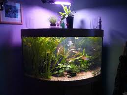 Kids almost unanimously get that small underwater diver in their first tank. 45 Smart And Clever Corner Decoration Ideas For Your Home